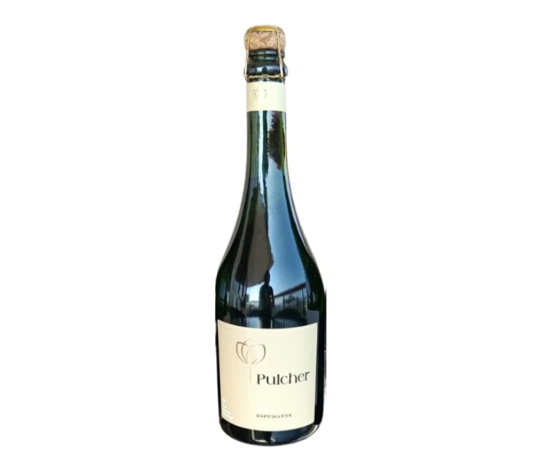 Pulcher Brut